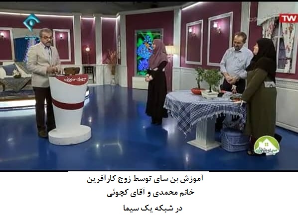 آموزش در صدا و سیما