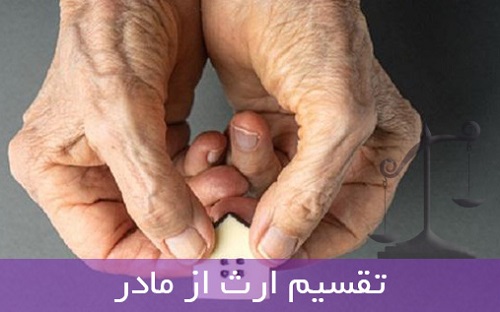 تقسيم ارث مادر