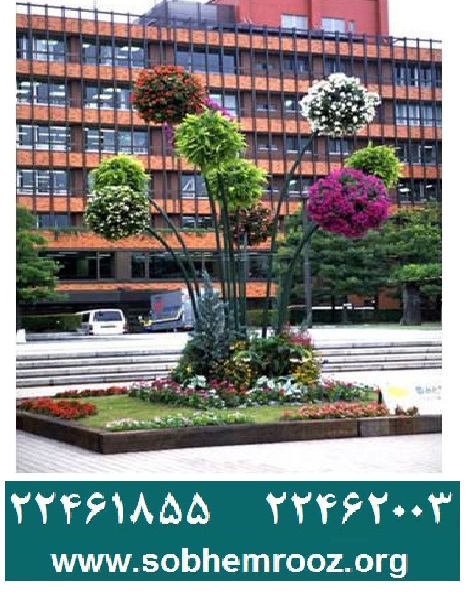 المان شهری گل