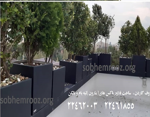 بام سبز  لبه بام
