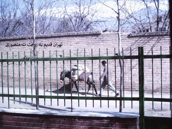 محله داودیه