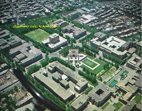 دانشگاه تهران