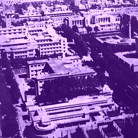 دانشگاه تهران