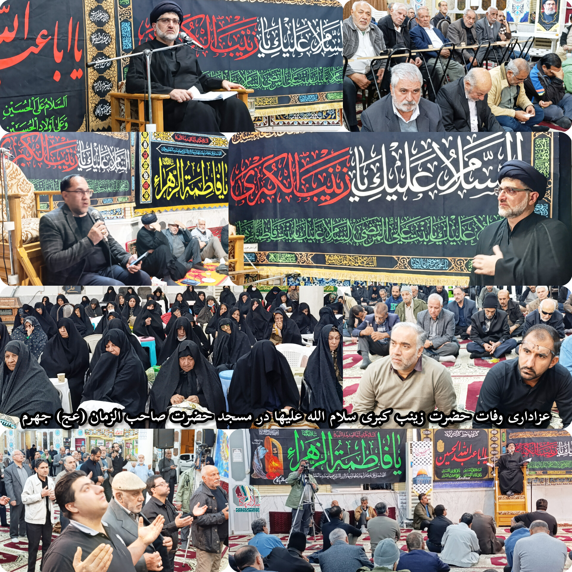 وفات حضرت زینب، سیدعلی ایت اللهی، محسن ذاکری، سلاله پاکان